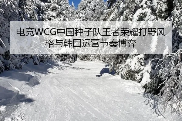 电竞WCG中国种子队王者荣耀打野风格与韩国运营节奏博弈