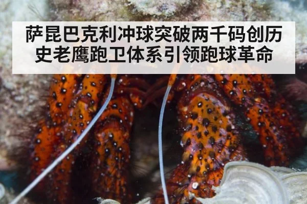 萨昆巴克利冲球突破两千码创历史老鹰跑卫体系引领跑球革命